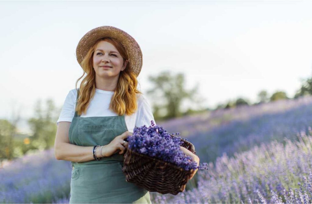 cudesna lavanda