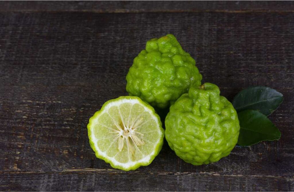 bergamot